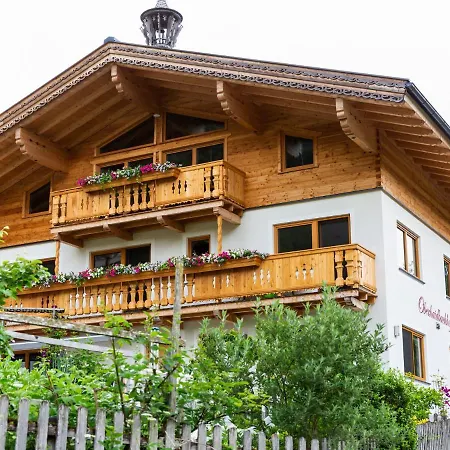 Beautiful Mansion In Near Pass Thurn Ski Area Hébergement de vacances